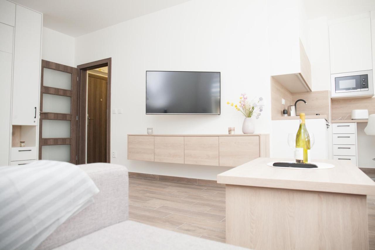 Apartment J4 Horni Misecky